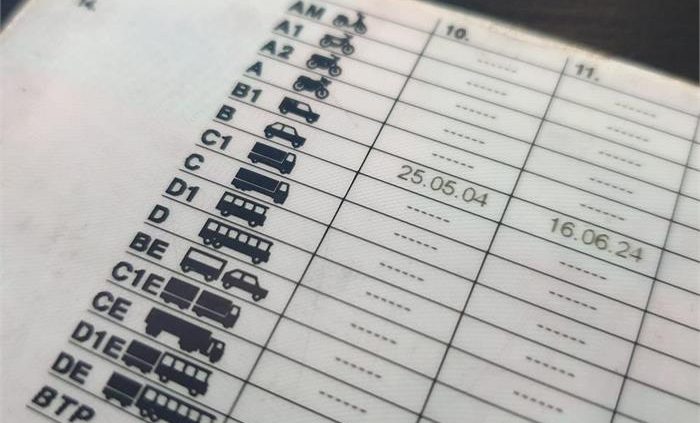 renovar mi carnet de conducir