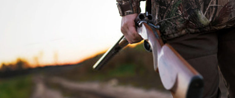 Licencia armas algeciras